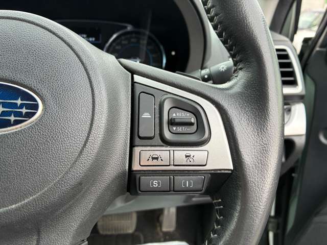 スバル フォレスター ２．０Ｉ－Ｌ アイサイト ４ＷＤ H28年 (北海道) 99