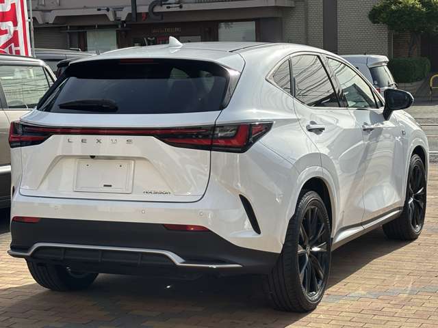 レクサス ＮＸ３５０ｈ Ｆスポーツ R5年 (九州・沖縄) 99