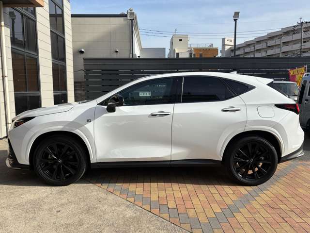 レクサス ＮＸ３５０ｈ Ｆスポーツ R5年 (九州・沖縄) 99