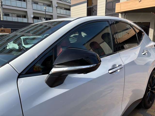 レクサス ＮＸ３５０ｈ Ｆスポーツ R5年 (九州・沖縄) 99
