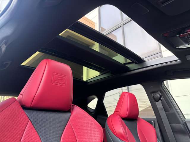 レクサス ＮＸ３５０ｈ Ｆスポーツ R5年 (九州・沖縄) 99