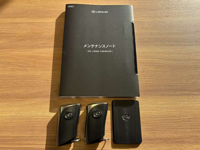 レクサス ＮＸ３５０ｈ Ｆスポーツ R5年 (九州・沖縄) 99