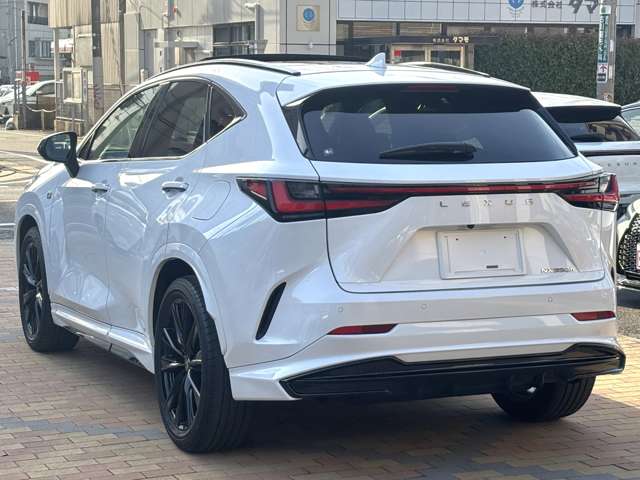 レクサス ＮＸ３５０ｈ Ｆスポーツ R5年 (九州・沖縄) 99