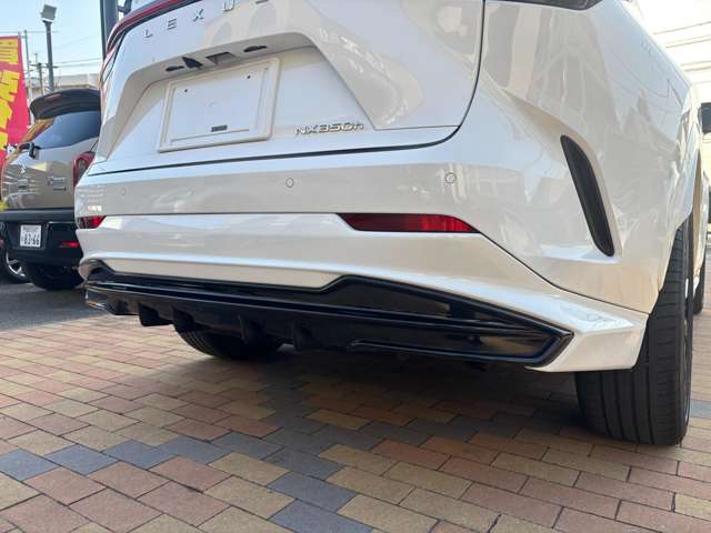 レクサス ＮＸ３５０ｈ Ｆスポーツ R5年 (九州・沖縄) 99