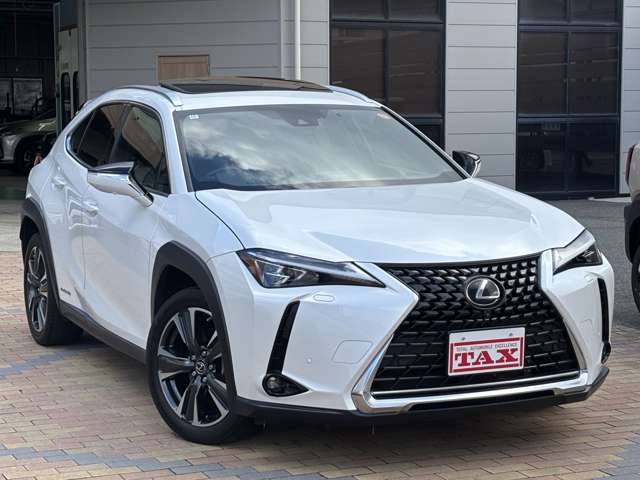 レクサス ＵＸ２５０ｈ バージョンＬ R1年 (九州・沖縄) 99