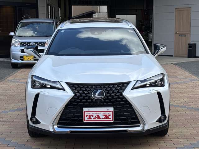 レクサス ＵＸ２５０ｈ バージョンＬ R1年 (九州・沖縄) 99