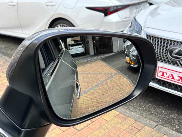 レクサス ＮＸ３００ｈ バージョンＬ H30年 (九州・沖縄) 99