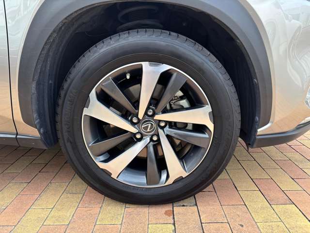 レクサス ＮＸ３００ｈ バージョンＬ H30年 (九州・沖縄) 99