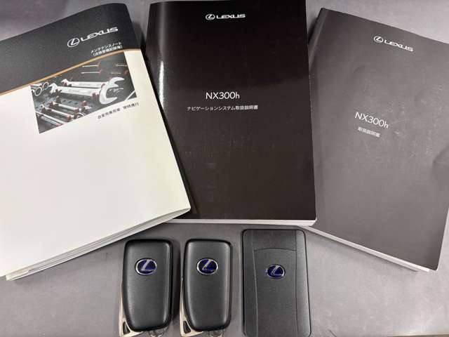 レクサス ＮＸ３００ｈ バージョンＬ H30年 (九州・沖縄) 99