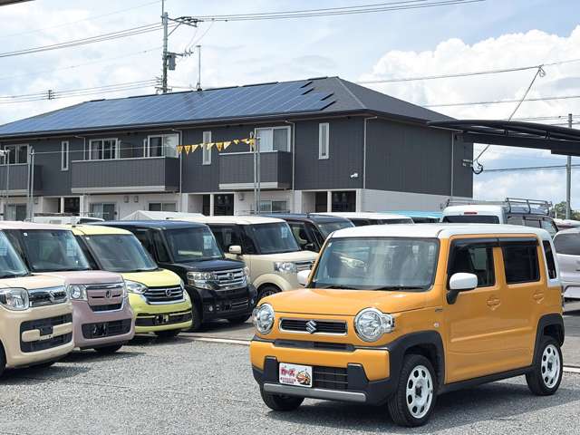 スズキ ハスラー ６６０ ハイブリッド Ｇ R2年 (九州・沖縄) 99