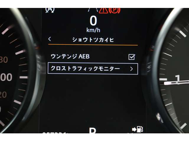 ランドローバー レンジローバーイヴォーク フリースタイル プラス ディーゼルターボ ４ＷＤ R1年 (近畿) 99