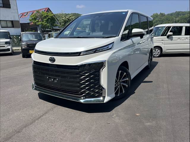 トヨタ ヴォクシー ２．０ Ｓ－Ｚ R8年 (関東) 99
