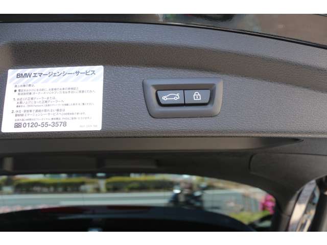 ＢＭＷ Ｘ２ Ｘドライブ２０Ｉ ＭスポーツＸ ４ＷＤ H30年 (関東) 99