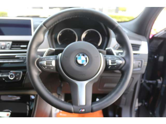 ＢＭＷ Ｘ２ Ｘドライブ２０Ｉ ＭスポーツＸ ４ＷＤ H30年 (関東) 99