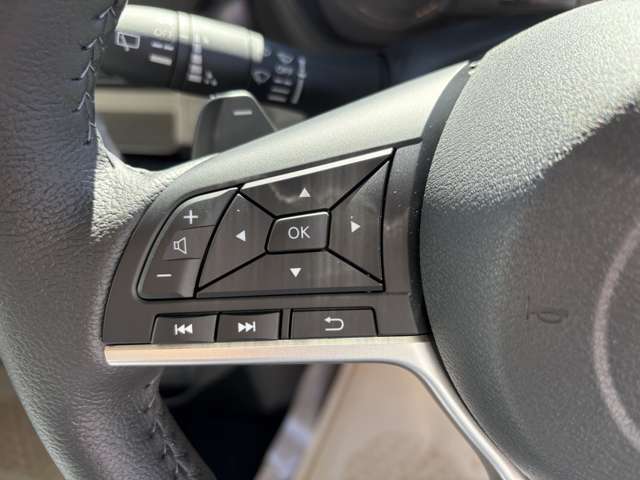 三菱 デリカ　ミニ ６６０ Ｔ プレミアム ４ＷＤ R7年 (関東) 99