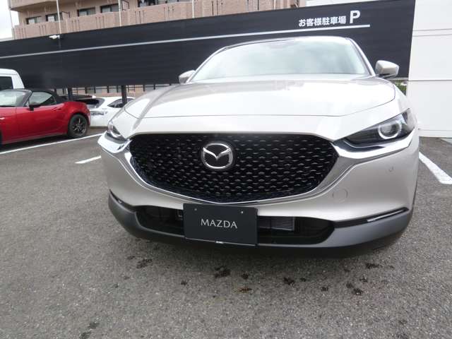マツダ ＣＸ−３０ ２．０ ２０Ｓ Ｉ セレクション R8年 (九州・沖縄) 99
