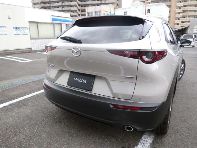 マツダ ＣＸ−３０ ２．０ ２０Ｓ Ｉ セレクション R8年 (九州・沖縄) 99
