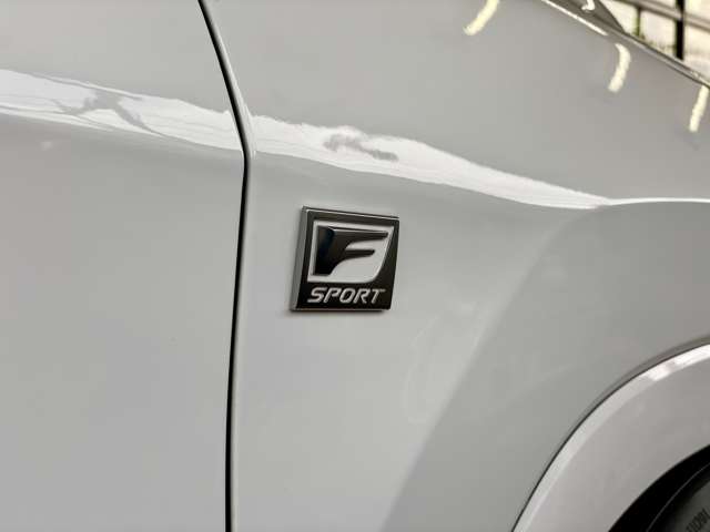 レクサス ＲＸ４５０ｈ ４５０Ｈ Ｆスポーツ ４ＷＤ R2年 (関東) 99