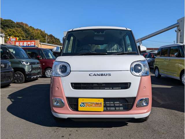 ダイハツ ムーヴ　キャンバス ６６０ ストライプス Ｇ R7年 (関東) 99