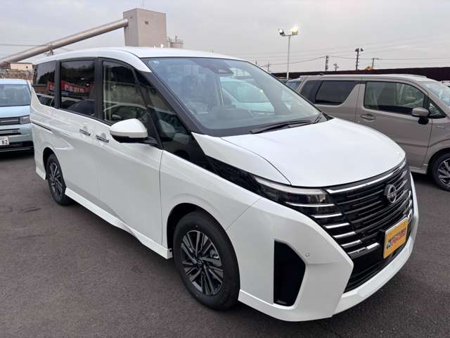 日産 セレナ ２．０ ハイウェイスターＶ R8年 (関東) 99