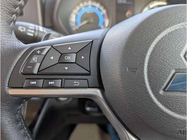 三菱 デリカ　ミニ ６６０ Ｔ プレミアム リミテッド エディション R7年 (関東) 99
