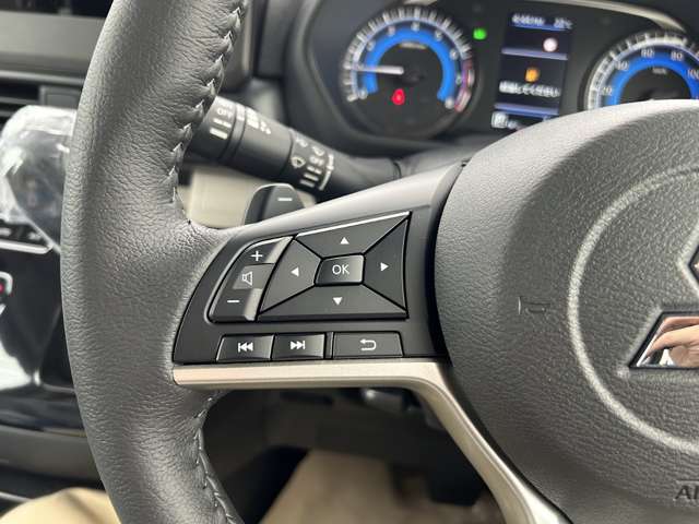 三菱 デリカ　ミニ ６６０ Ｔ プレミアム リミテッド エディション ４ＷＤ R7年 (関東) 99