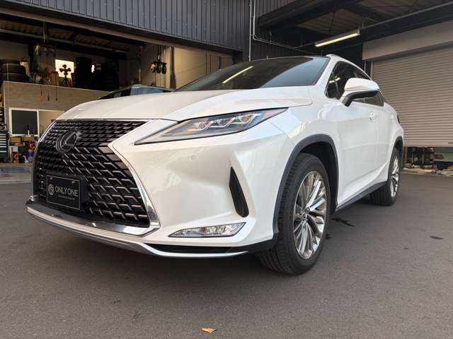 レクサス ＲＸ３００ バージョンＬ R2年 (関東) 99