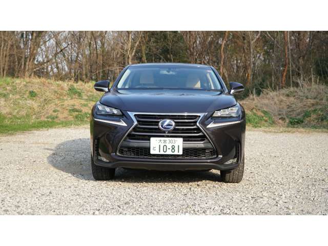 レクサス ＮＸ３００ｈ ３００Ｈ Ｉパッケージ ４ＷＤ H26年 (関東) 99