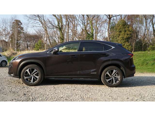 レクサス ＮＸ３００ｈ ３００Ｈ Ｉパッケージ ４ＷＤ H26年 (関東) 99