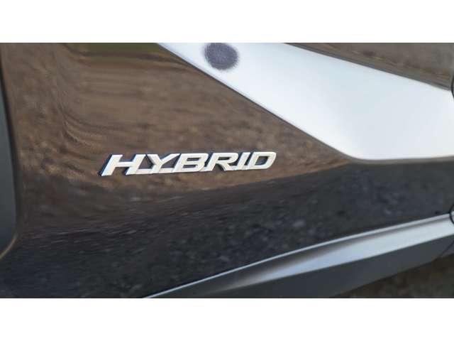 レクサス ＮＸ３００ｈ ３００Ｈ Ｉパッケージ ４ＷＤ H26年 (関東) 99