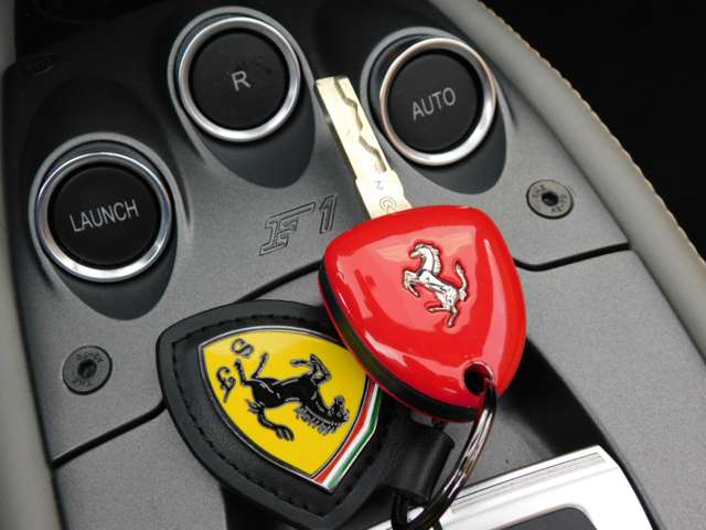 フェラーリ ４５８スパイダー Ｆ１ ＤＣＴ H25年 (近畿) 99