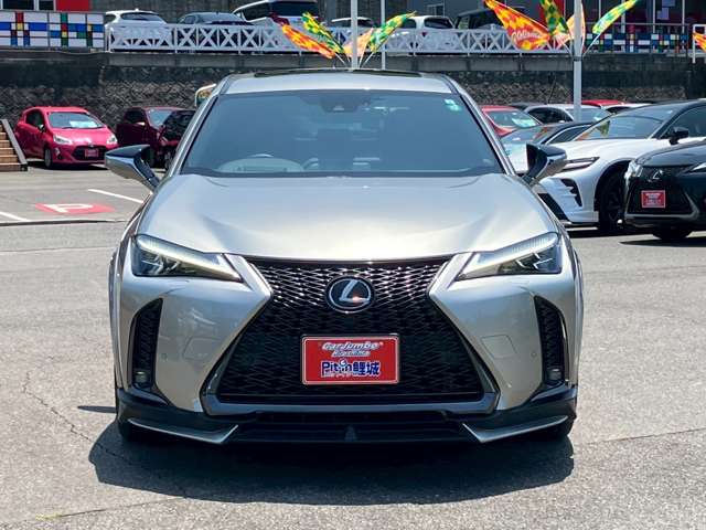 レクサス ＵＸ２５０ｈ ２５０Ｈ Ｆスポーツ ４ＷＤ R5年 (中国) 99