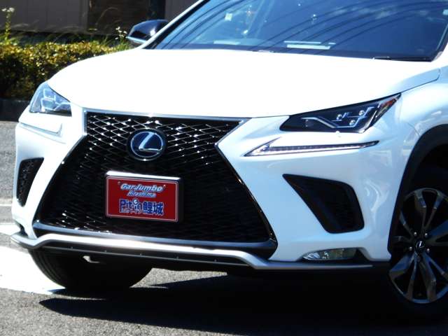 レクサス ＮＸ３００ｈ Ｆスポーツ H30年 (中国) 99