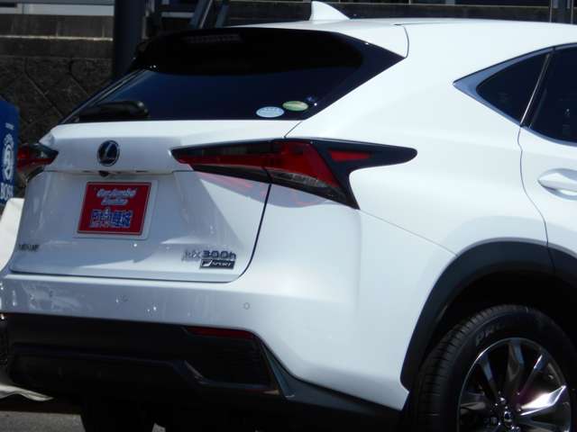 レクサス ＮＸ３００ｈ Ｆスポーツ H30年 (中国) 99