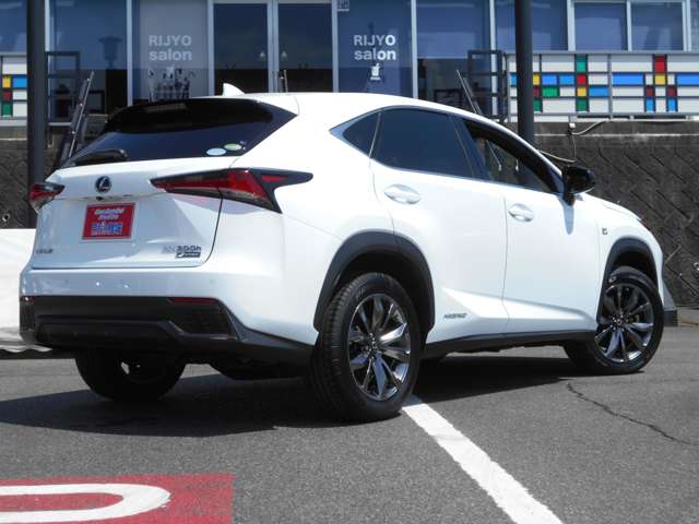 レクサス ＮＸ３００ｈ Ｆスポーツ H30年 (中国) 99