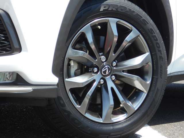 レクサス ＮＸ３００ｈ Ｆスポーツ H30年 (中国) 99