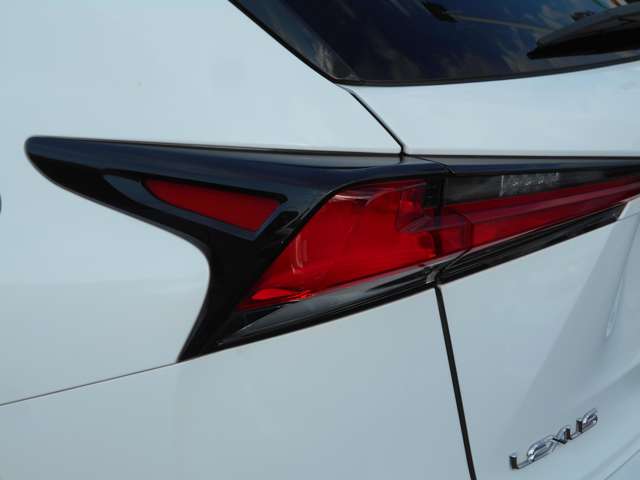 レクサス ＮＸ３００ｈ Ｆスポーツ H30年 (中国) 99