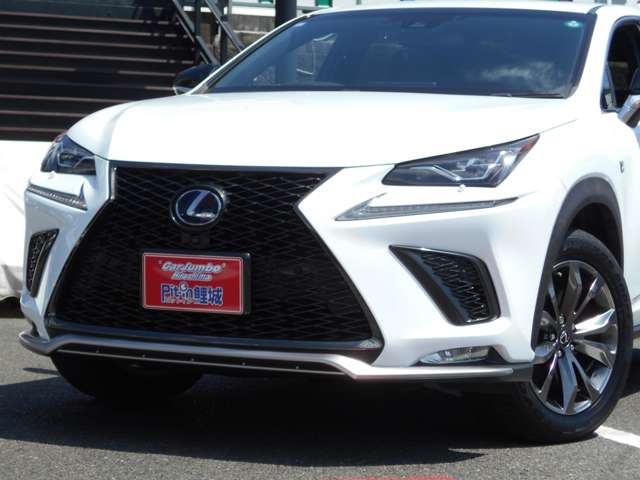 レクサス ＮＸ３００ｈ Ｆスポーツ H30年 (中国) 99