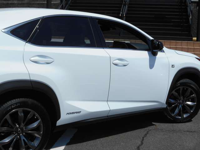 レクサス ＮＸ３００ｈ Ｆスポーツ H30年 (中国) 99