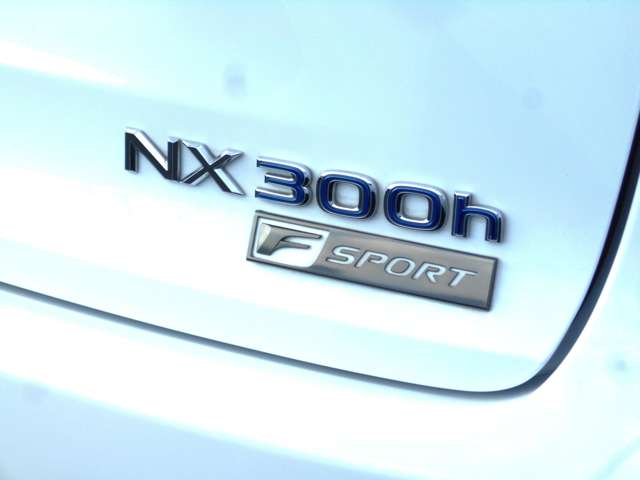 レクサス ＮＸ３００ｈ Ｆスポーツ H30年 (中国) 99