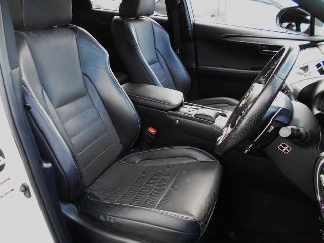 レクサス ＮＸ３００ｈ Ｆスポーツ H30年 (中国) 99
