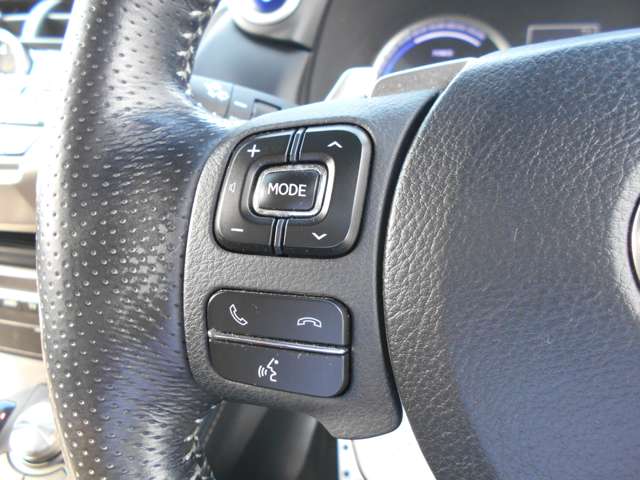 レクサス ＮＸ３００ｈ Ｆスポーツ H30年 (中国) 99