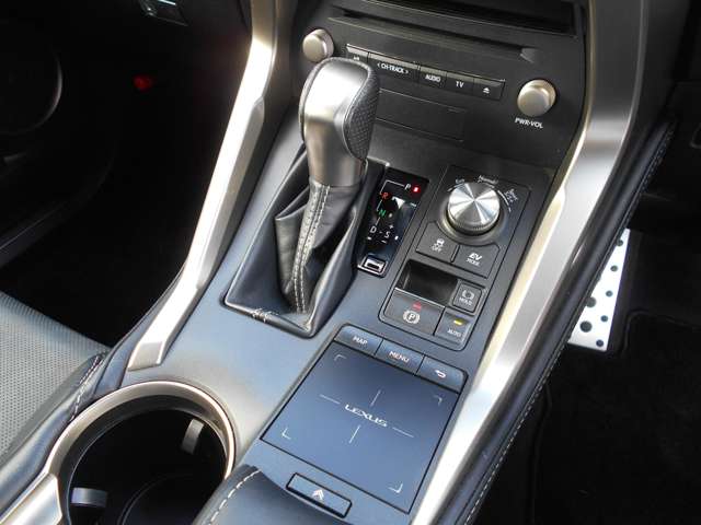 レクサス ＮＸ３００ｈ Ｆスポーツ H30年 (中国) 99