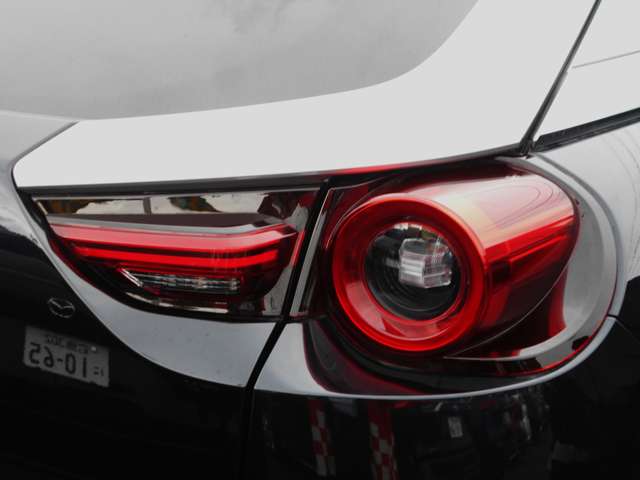 マツダ ＭＸ−３０　ロータリーＥＶ ナチュラル　モノトーン R5年 (中国) 99