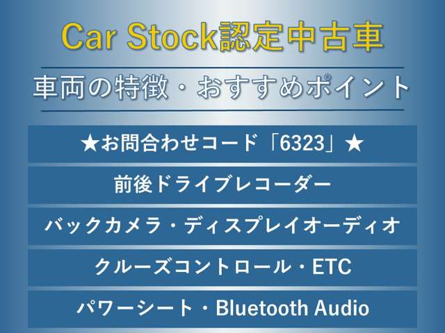 スバル レヴォーグ １．６ ＧＴ－Ｓ アイサイト プラウド エディション ４ＷＤ H28年 (東海) 99