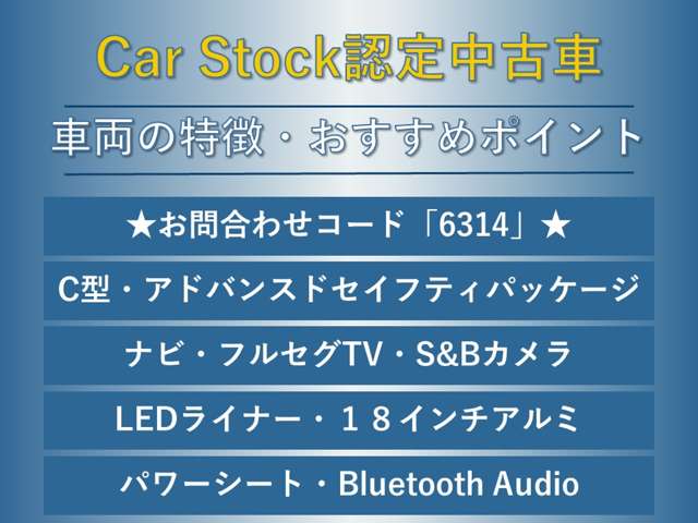 スバル レヴォーグ １．６ ＧＴ アイサイト Ｓスタイル ４ＷＤ H28年 (東海) 99