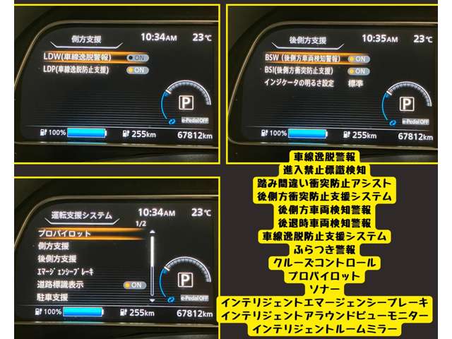 日産 リーフ Ｘ　Ｖセレクション R4年 (東海) 99