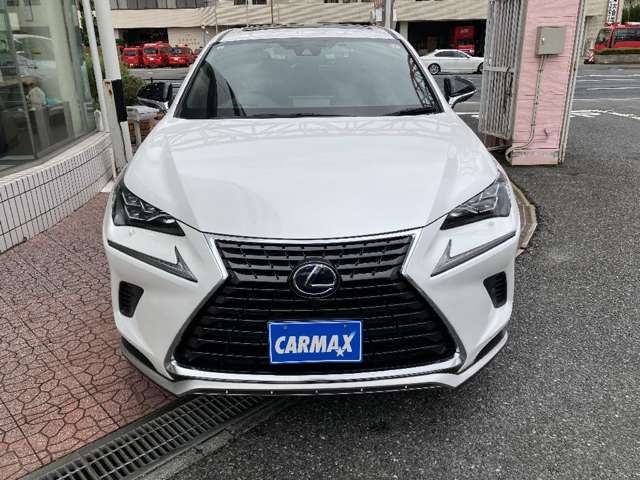 レクサス ＮＸ３００ｈ スパイス＆シック R3年 (関東) 99