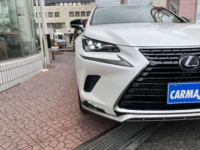 レクサス ＮＸ３００ｈ スパイス＆シック R3年 (関東) 99