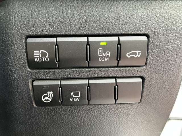 レクサス ＮＸ３００ｈ スパイス＆シック R3年 (関東) 99